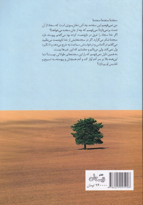 تویی به جای همه حماسه سجادیه (کتاب اول)