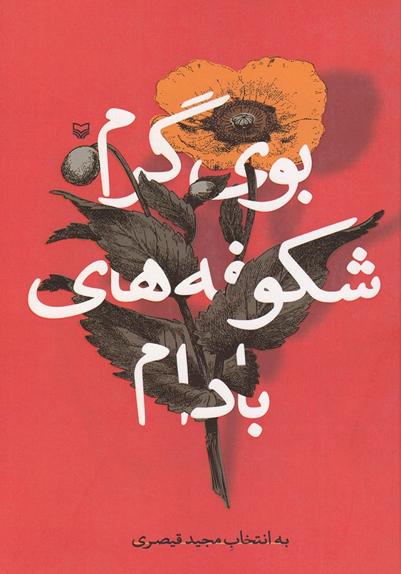 بوی گرم شکوفه های بادام