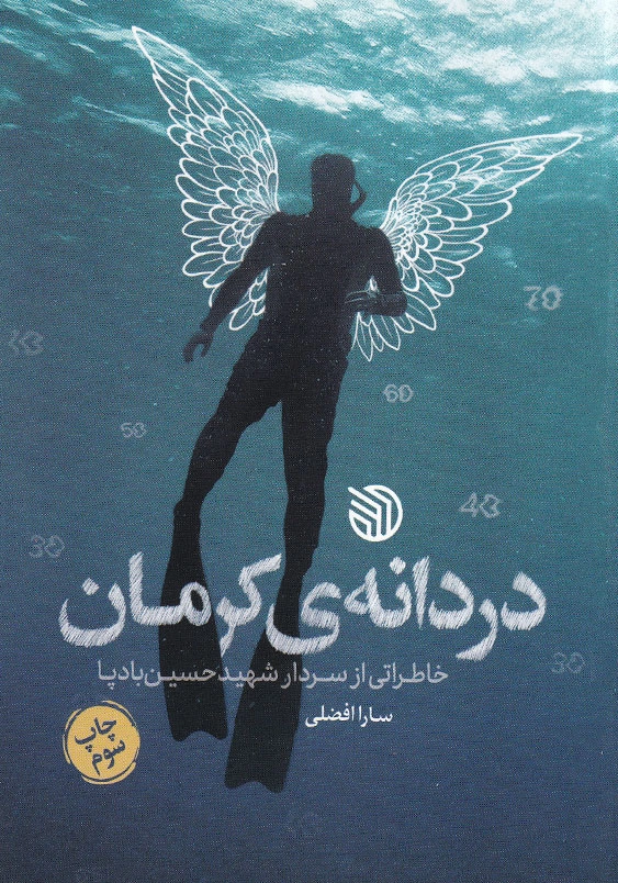 دردانه کرمان: خاطراتی از سردار شهید حسین بادپا