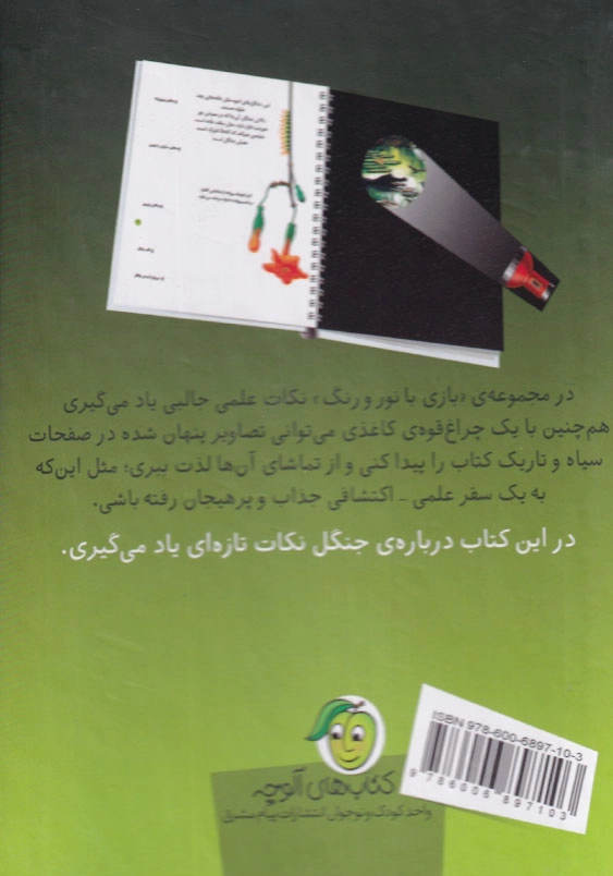 بازی با نور و رنگ: در اعماق جنگل