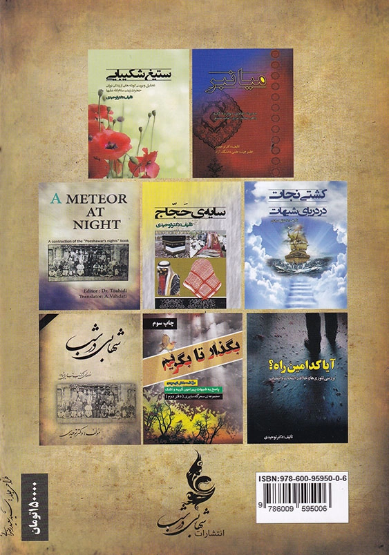 شهابی در شب