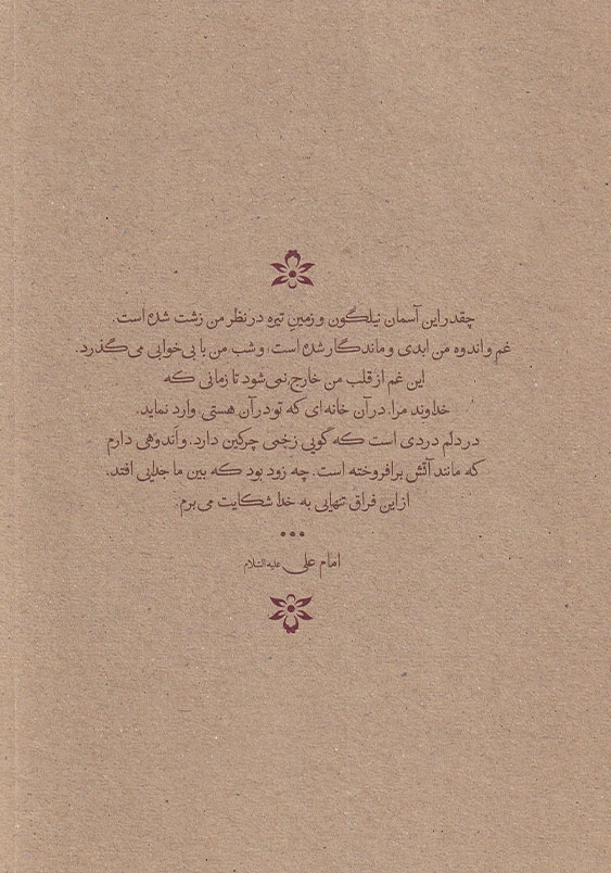 دختر پیامبر وقایع زندگی حضرت زهرا (س) بعد از رحلت پیامبر (ص)