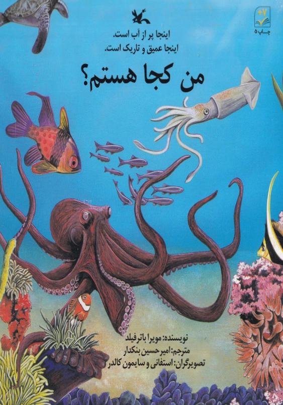 من کجا هستم